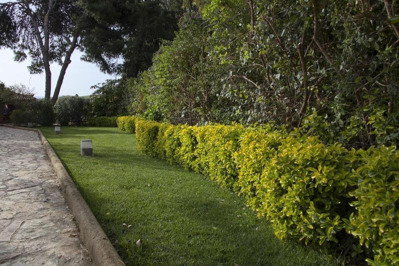 B&B Villa Seta Agrigento Dış mekan fotoğraf