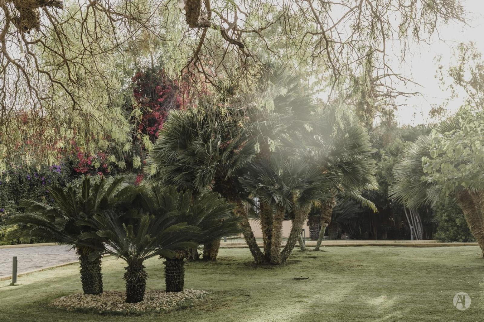 B&B Villa Seta Agrigento Dış mekan fotoğraf